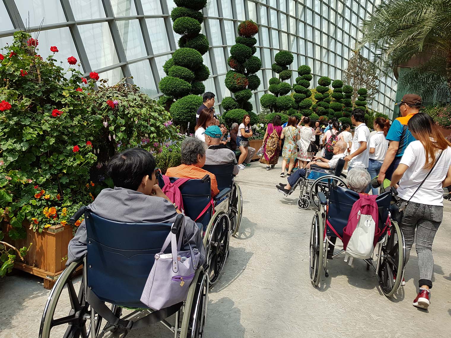 Gardens by the Bay