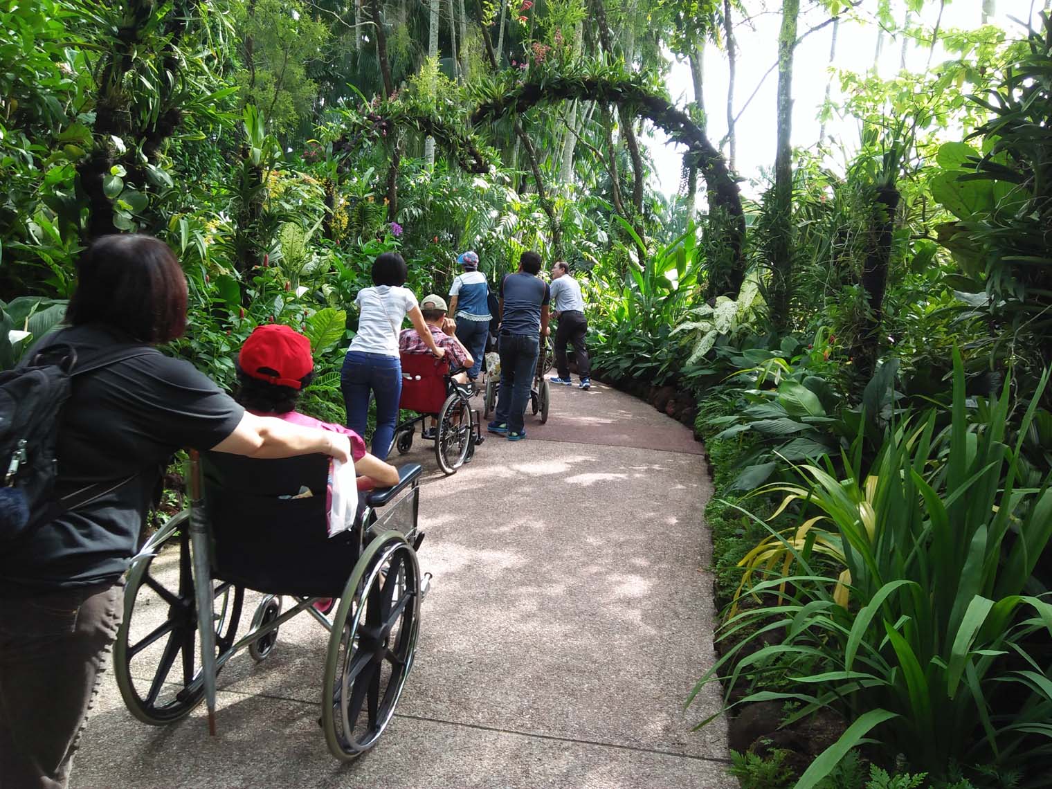 National Orchid Garden